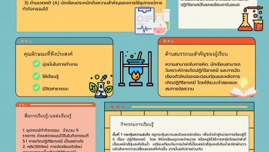 แจกไฟล์แผนหน้าเดียว ไฟล์ ppt สามารถแก้ไขได้ โหลดได้ที่