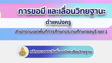 โปรแกรมคำนวณการยื่นวิทยฐานะช่วงเปลี่ยนผ่าน ส่งแบบไหน ว17+วPA หรือ ว21+วPA หรือ วPA อย่างเดียว คลิกเดียวรู้เรื่อง พัฒนาโดย สพป.ชลบุรี เขต 1